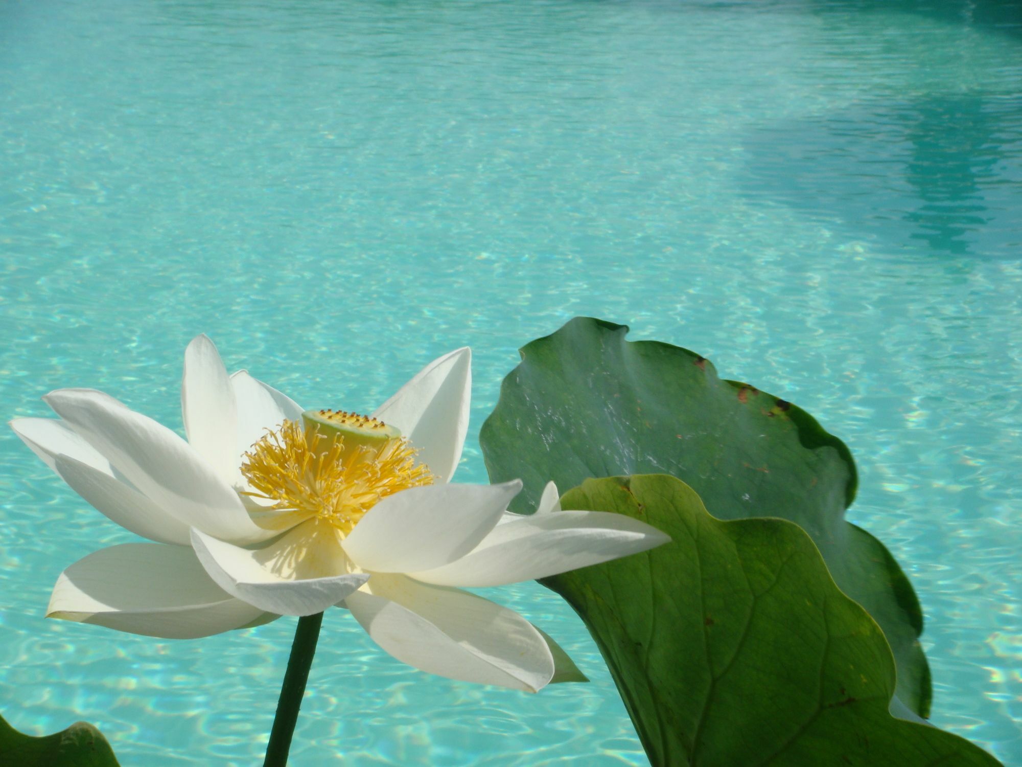 Agriturismo Raccianello ซานจีมิญญาโน ภายนอก รูปภาพ